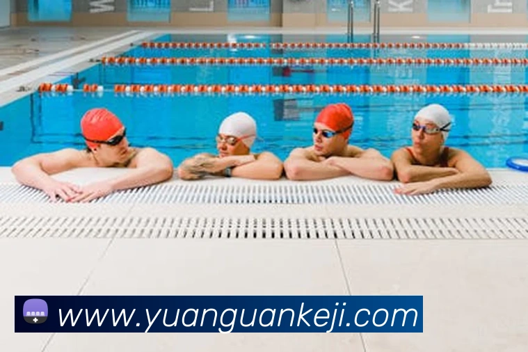 世界杯app官网平台生态图