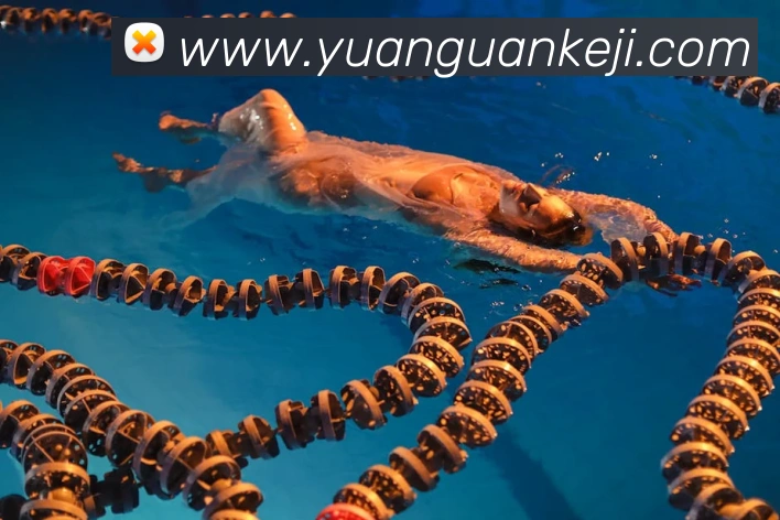 奖项证书
